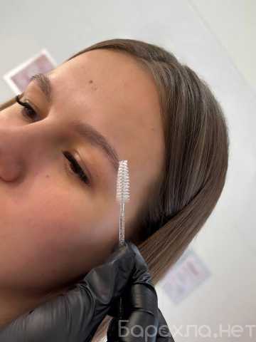 Предложение: Бровист