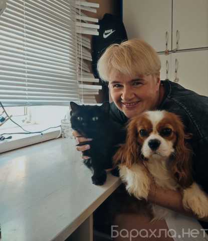 Предложение: Зоопсихолог. Фелинолог. Кинолог. Онлайн