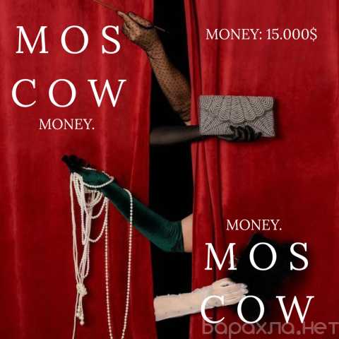 Предложение: Высокий доход, новый уровень!