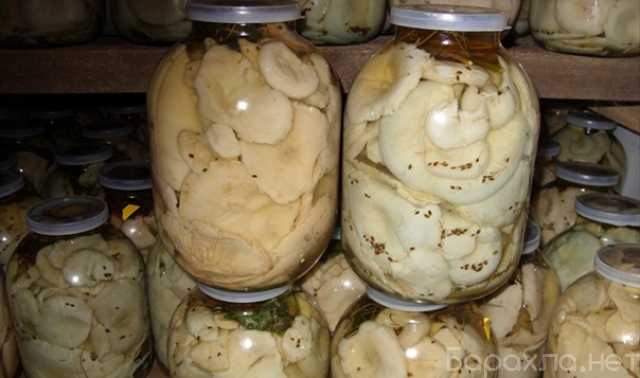 Продам: Грузди. Белянки Соленые