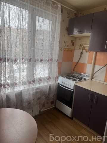 Сдам: квартиру