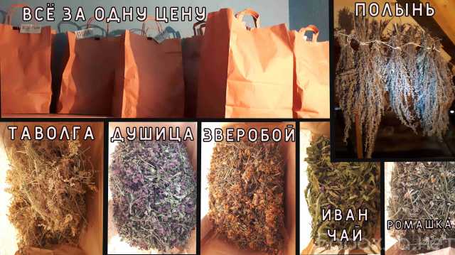 Продам: Травяной чай и пучки полыни, всё за одну