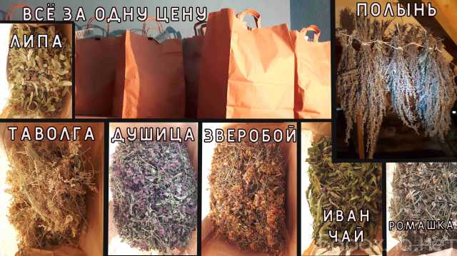 Продам: Травяной чай и пучки полыни, всё за одну