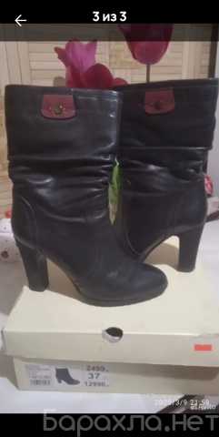 Продам: Полусапожки женские осеннии. Кожаные