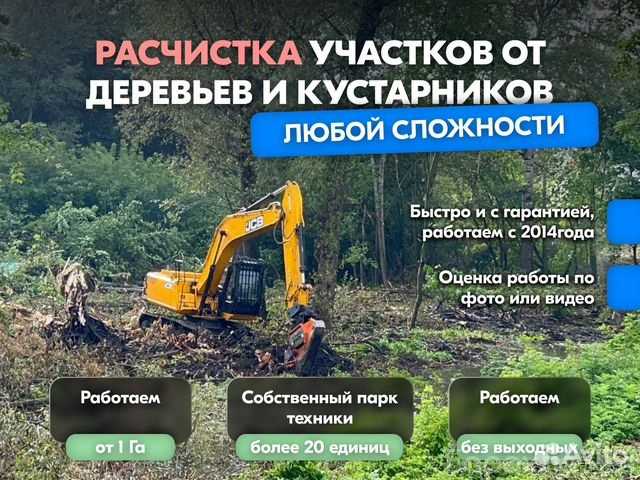 Предложение: Расчистка территорий от деревьев,пней