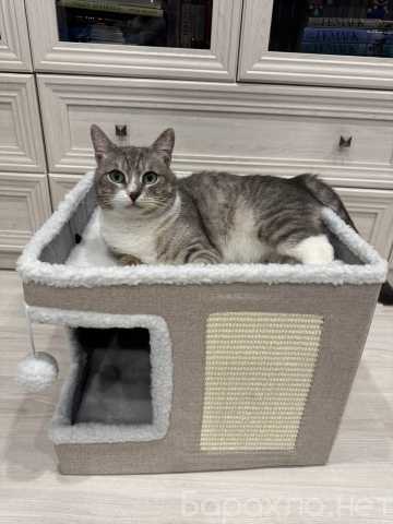 Продам: Домик для животных