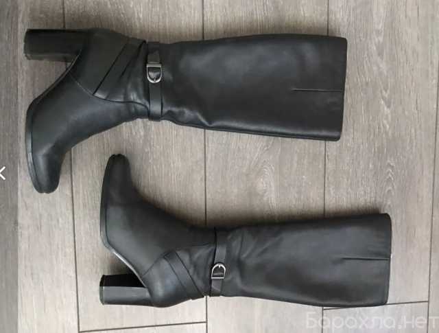 Продам: Сапоги Thomas Munz, демисезон, черн, 36