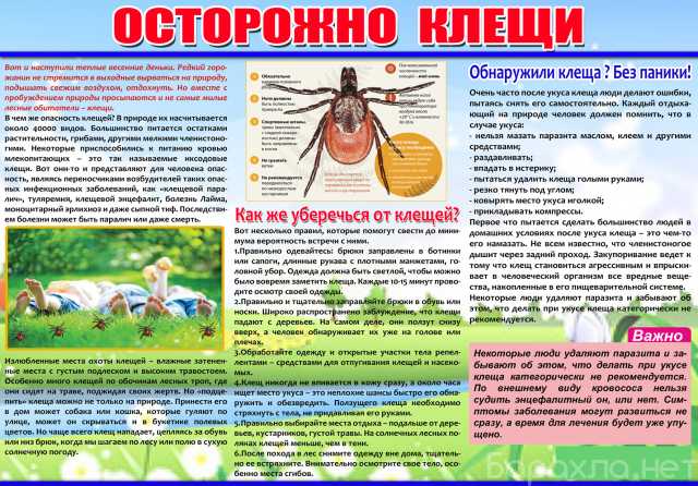 Предложение: Санитарный бюллетень (Санбюллетень) за 1