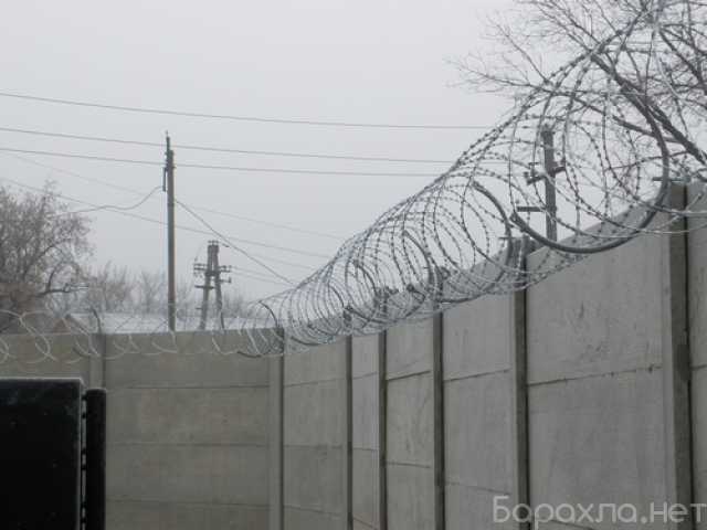 Продам: Колючая проволока СББ опт и розница