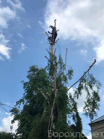 Предложение: Выполняем все виды строительных работ