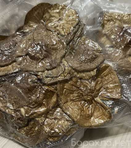 Продам: Тигровый гриб