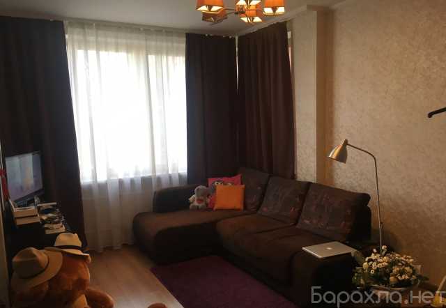 Сдам: квартиру