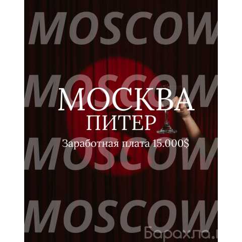 Вакансия: ВЫСОКИЙ ДОХОД. ПОЛНАЯ ТИШИНА