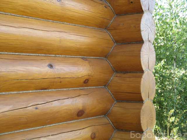 Предложение: Ремонт деревянных домов