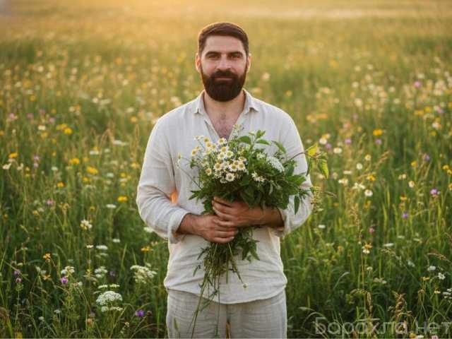 Предложение: Фитооздоровление