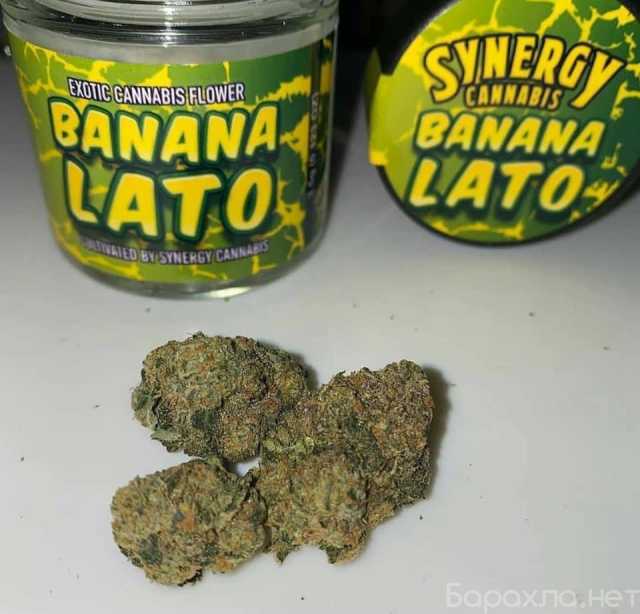 Продам: Buy THC Cannabis Online in Moscow