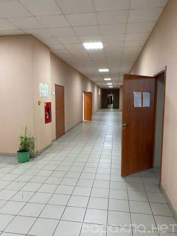 Сдам: офис