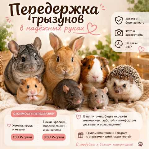 Предложение: Зоогостиница/передержка грызунов
