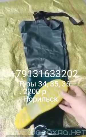 Продам: Болотные сапоги