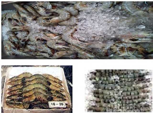 Продам: Frozen Shrimp