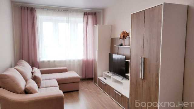 Сдам: квартиру