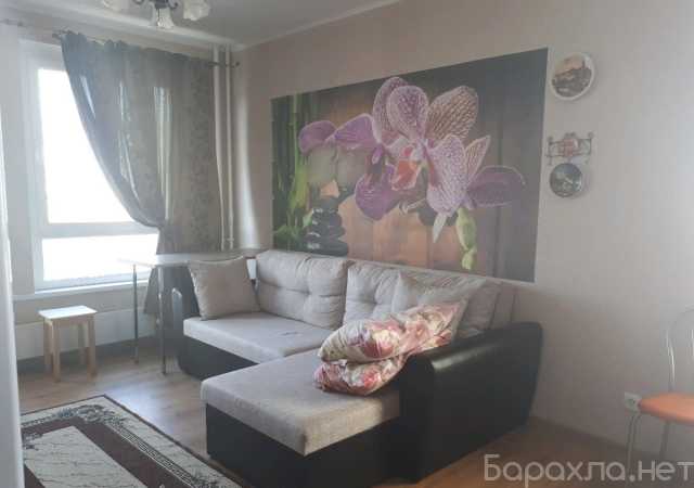 Сдам: квартиру