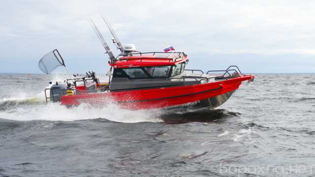 Продам: Berkut Active Offshore