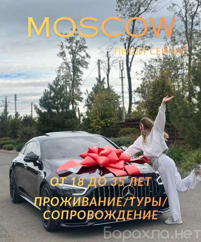 Вакансия: ПРОЗРАЧНАЯ АРИФМЕТИКА ТВОЕГО ТУРА в МСК