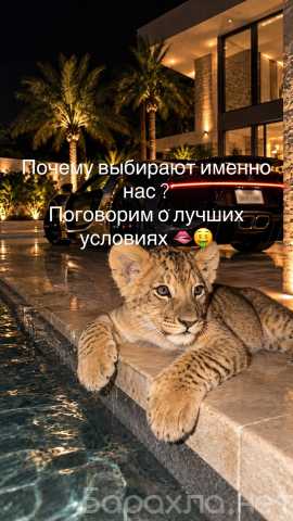 Вакансия: 🌆 VIP-СОПРОВОЖДЕНИЕ