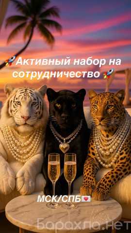 Вакансия: ВЫСОКИЙ ЧЕК. ПОЛНАЯ ЗАПИСЬ