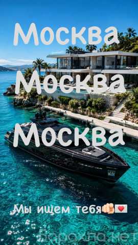 Вакансия: Работа мечты с гарантией безопасности
